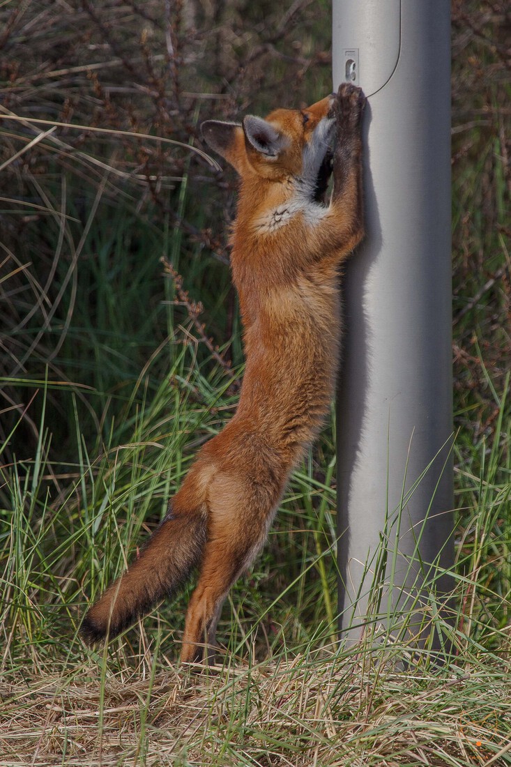 stretch
