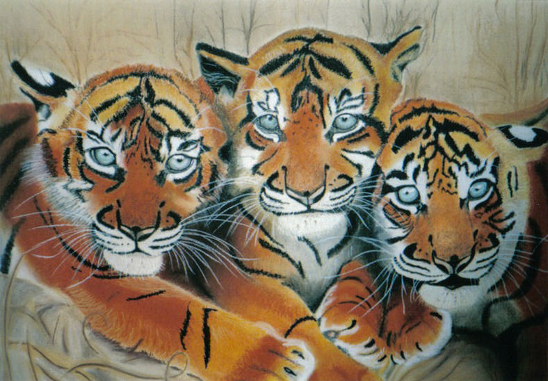 Drie tijgertjes