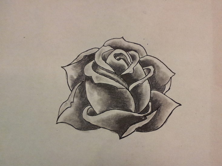 The rose