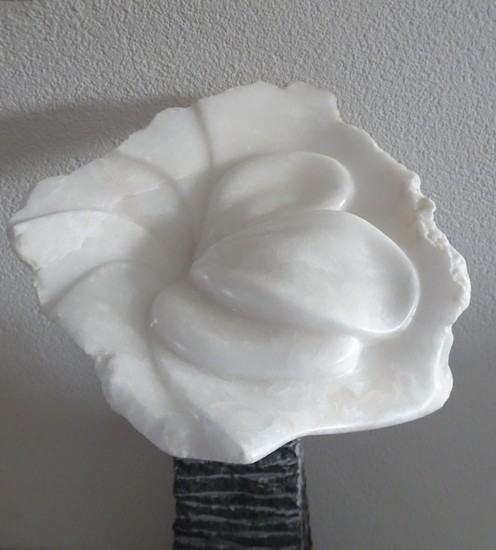 Chiel Krabbenbos - Bloem