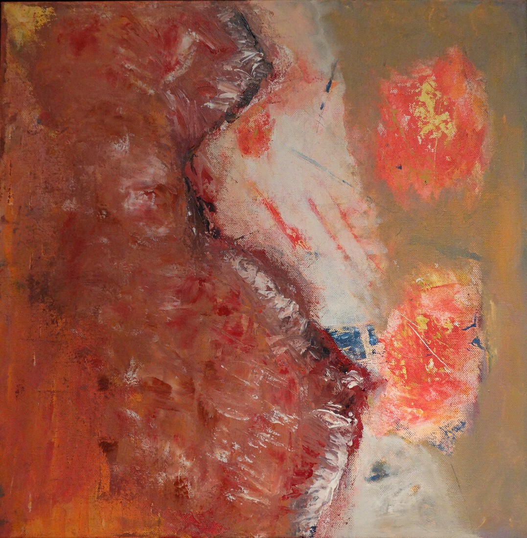 Peter Elias - Meteorieten