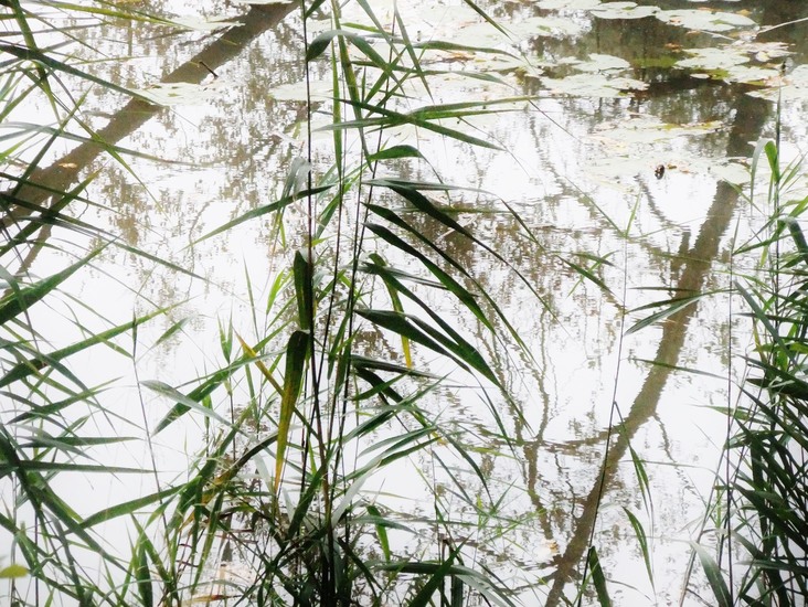 Herfst in Limburg 16