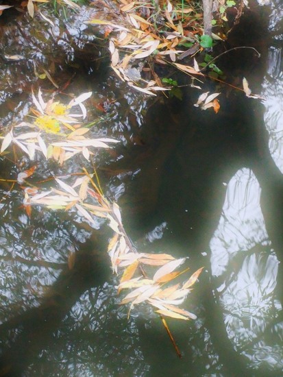 Herfst in Limburg 13