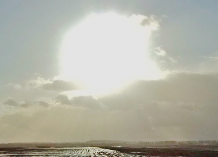 Winter in Drenthe 28