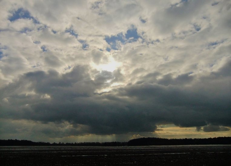 Winter in Drenthe 11