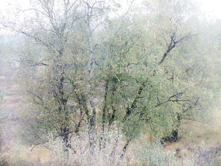 Herfst in Limburg 18