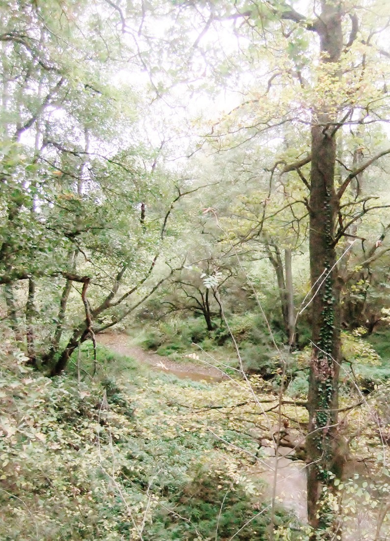 Herfst in Limburg 15