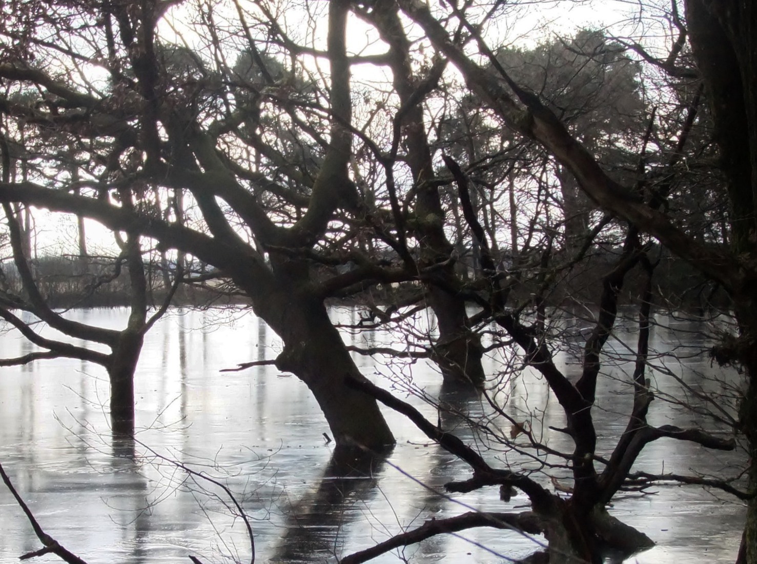 Winter in Drenthe 10