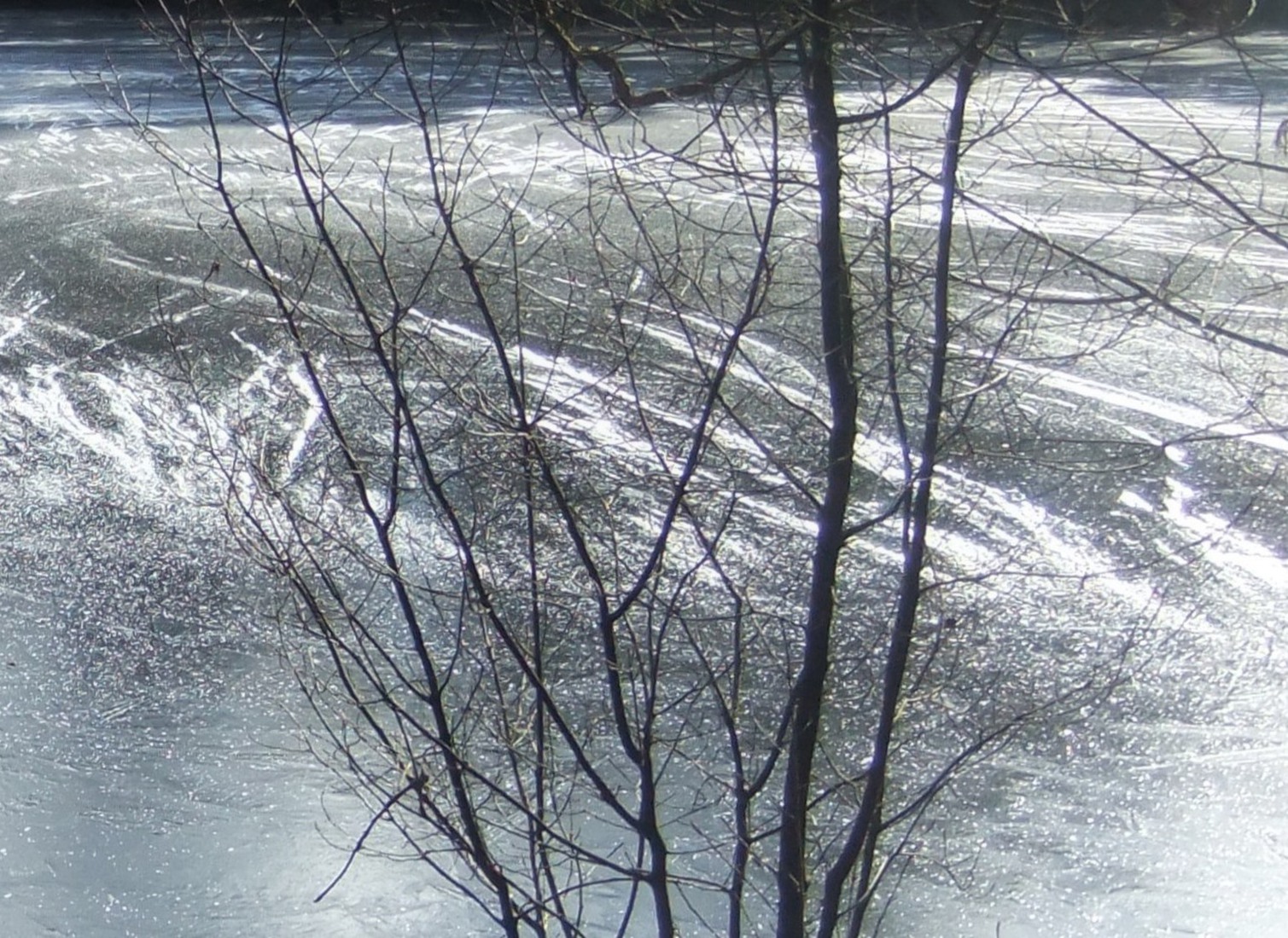 Winter in Drenthe 14