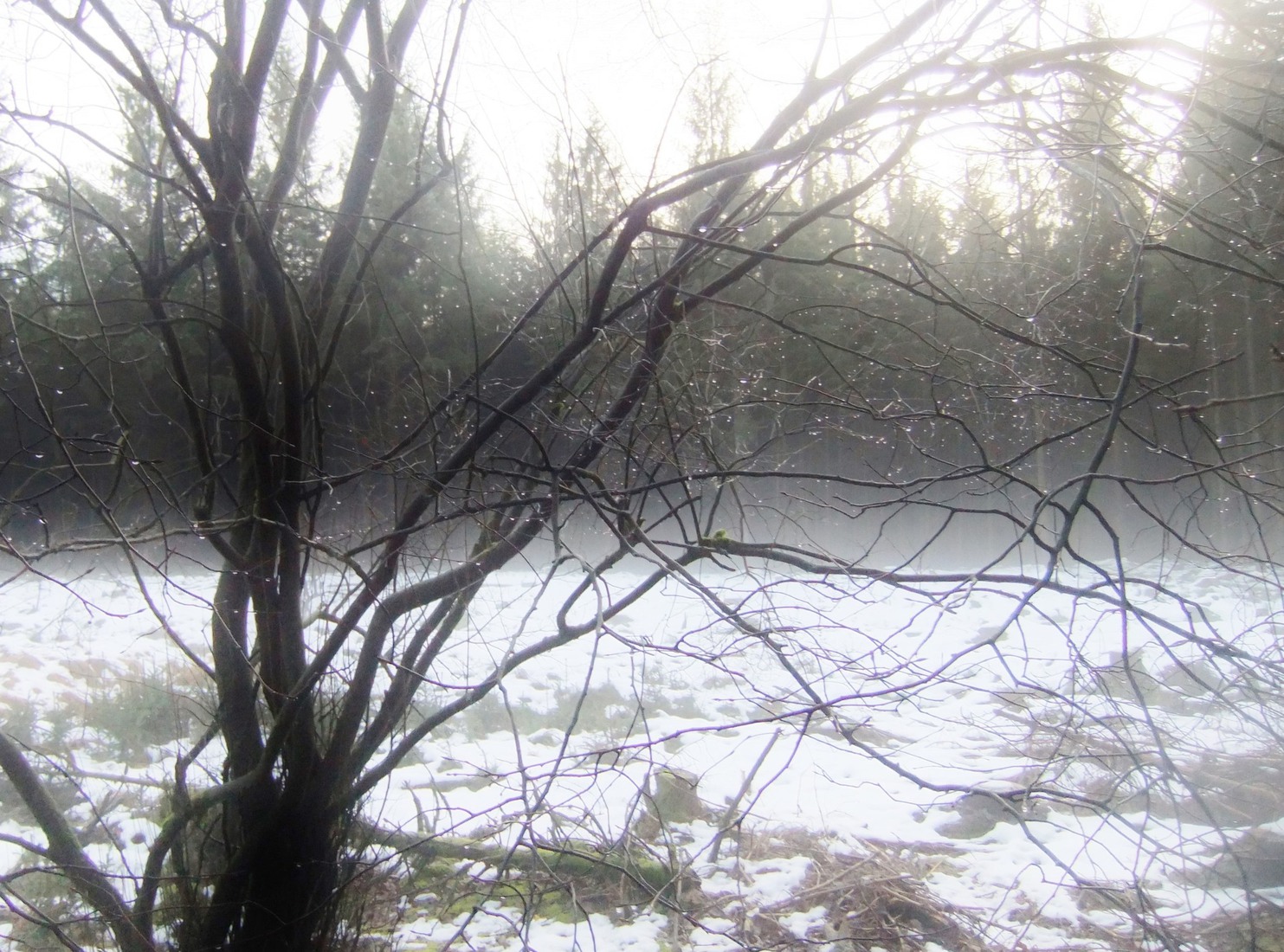 Winter in Drenthe 18