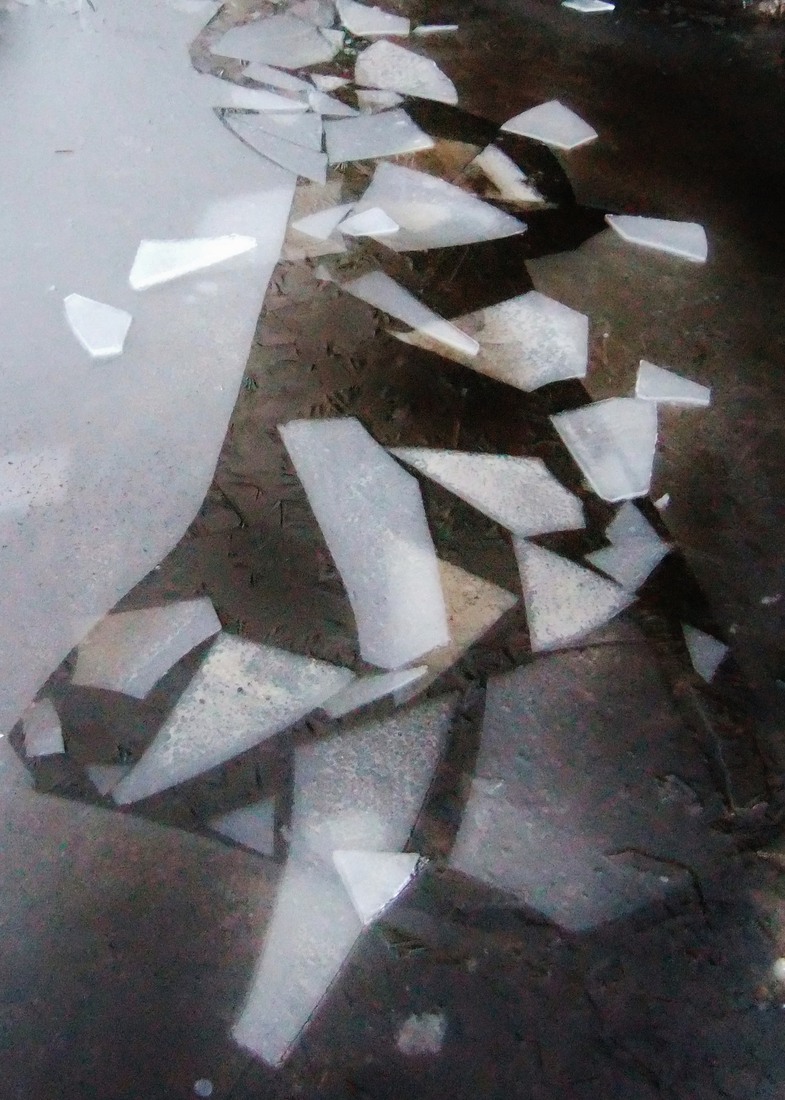 Winter in Drenthe 16