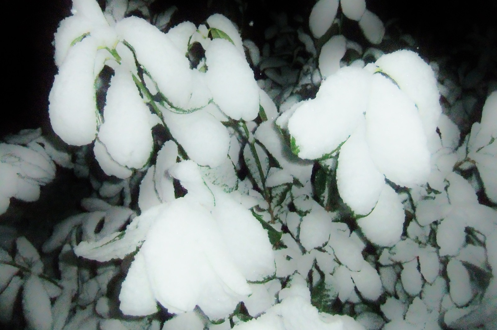 Winter in Drenthe 23