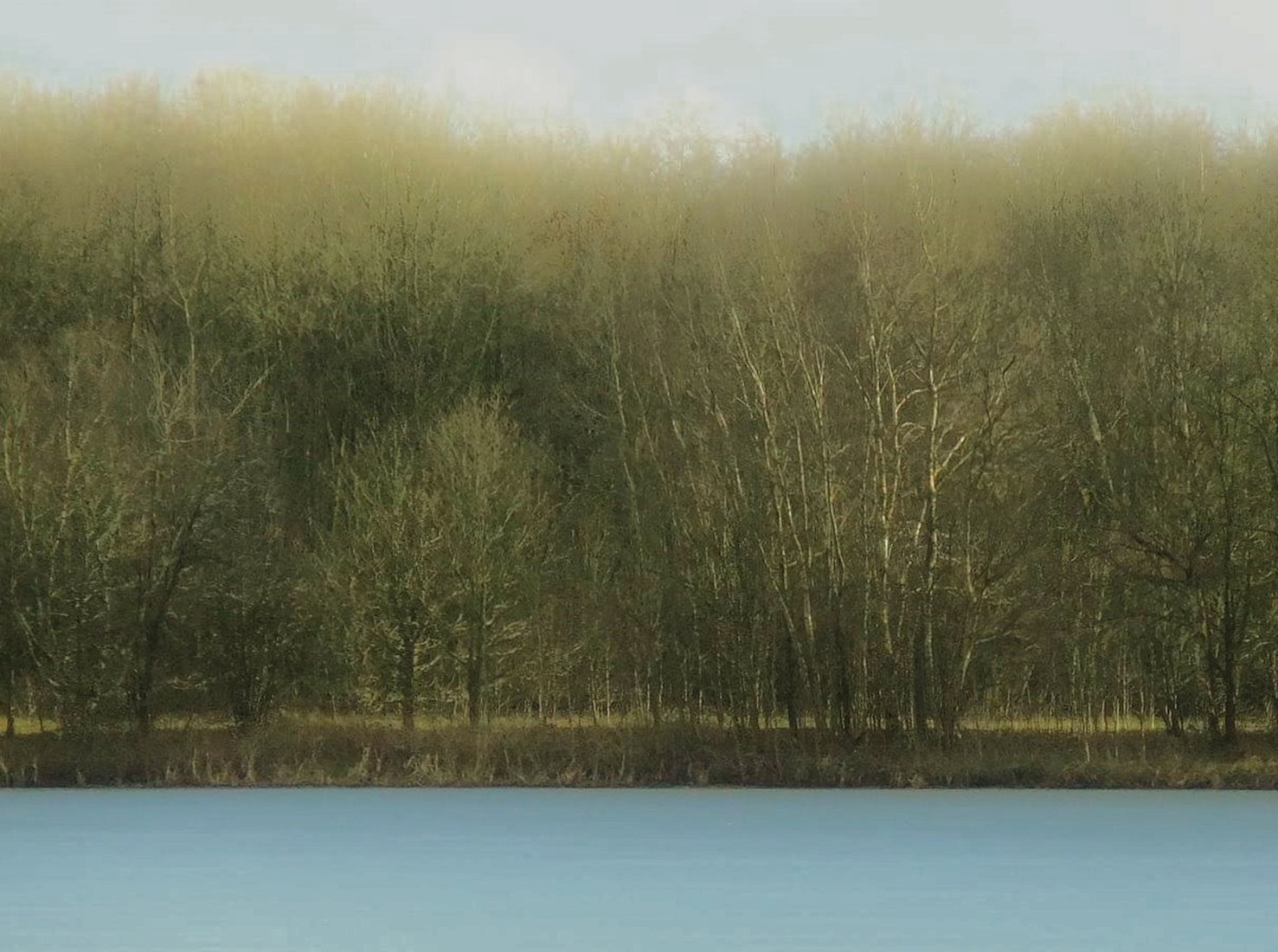 Winter in Drenthe 20