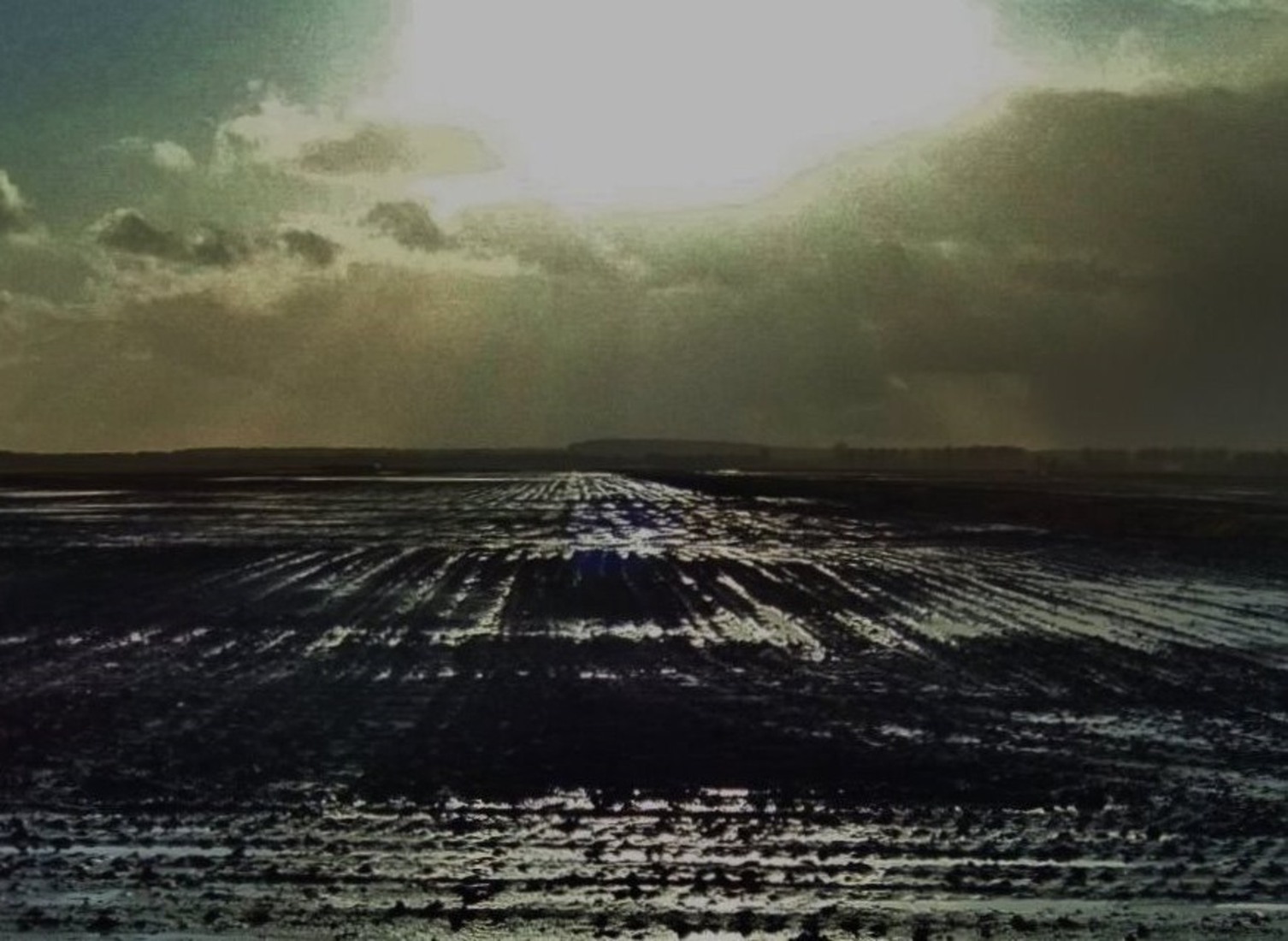 Winter in Drenthe 13