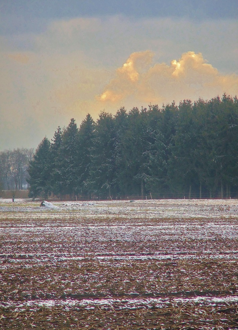 Winter in Drenthe 12