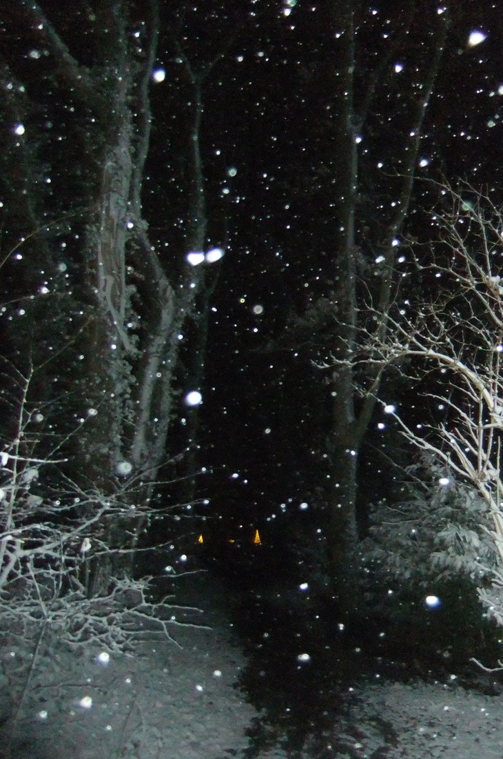 Winter in Drenthe 25