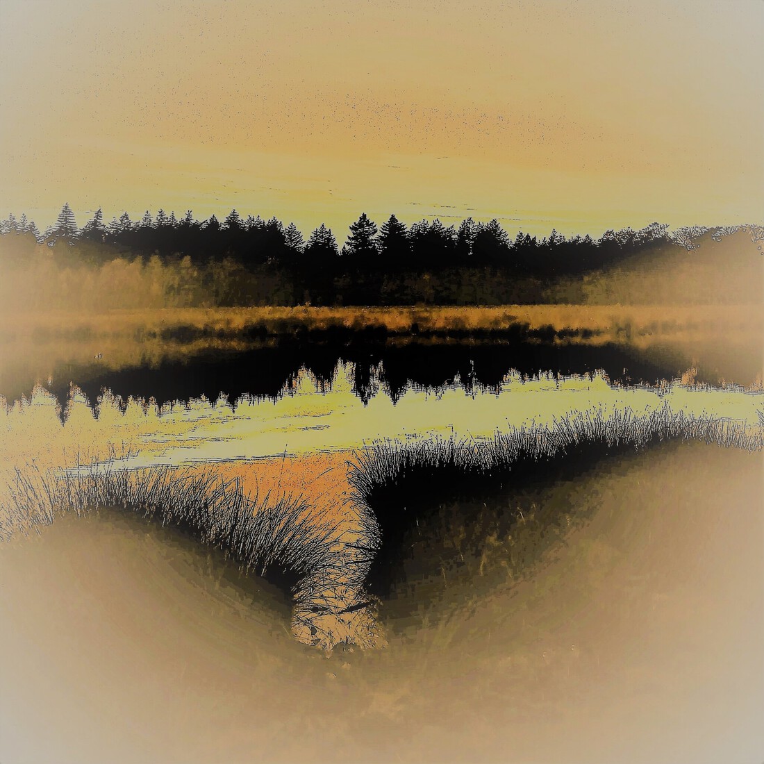 Photodrawings Squares 1