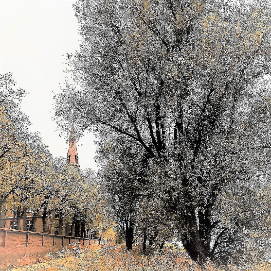 Photodrawings Squares 28