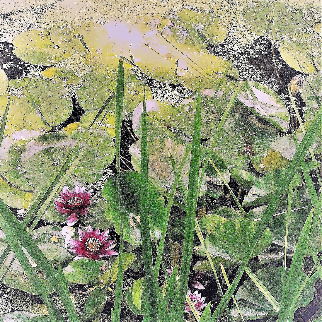 Photodrawings Squares 27