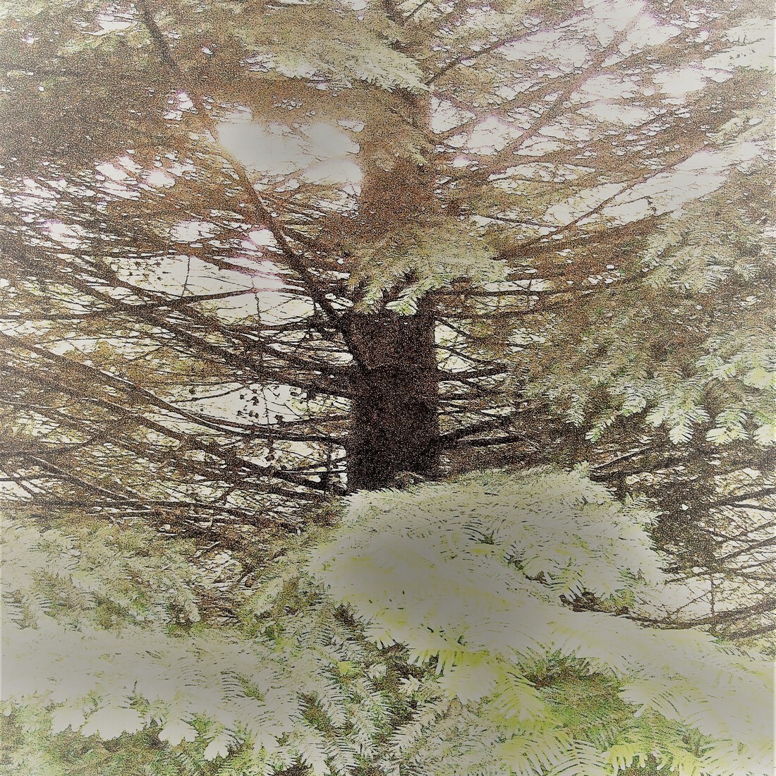 Photodrawings Squares 20