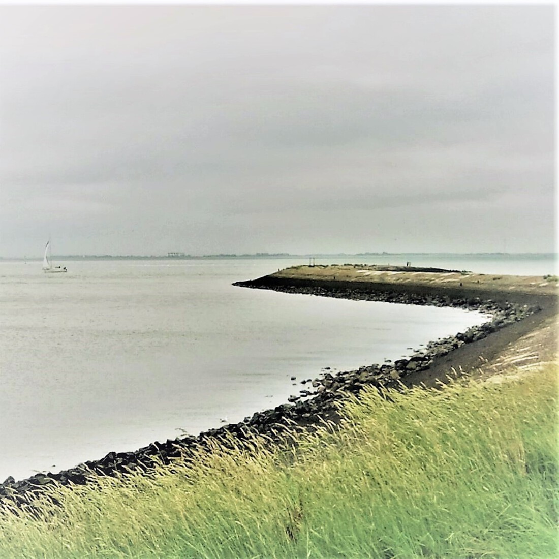 Photodrawings Squares 14