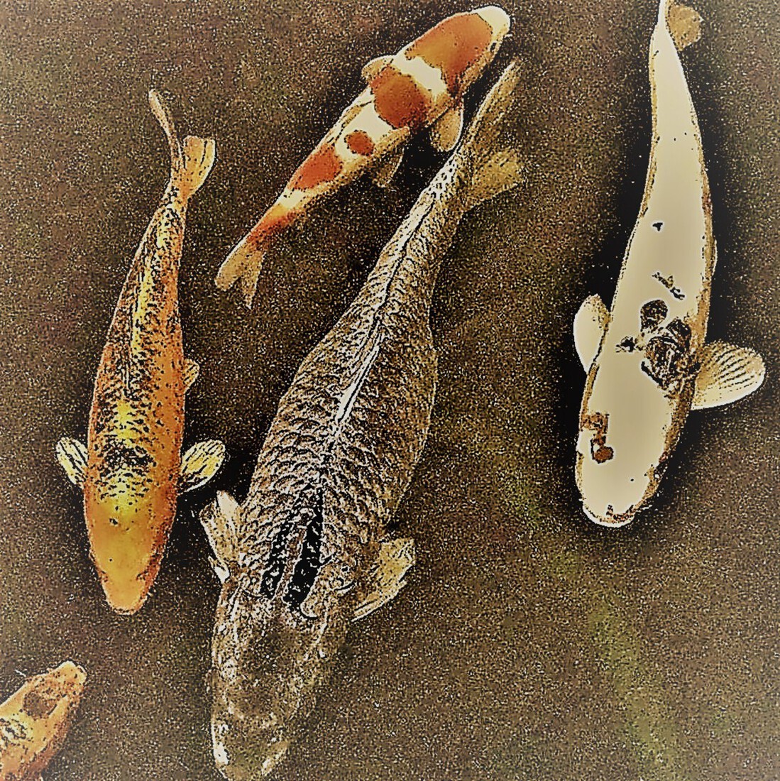 Photodrawings Squares 13