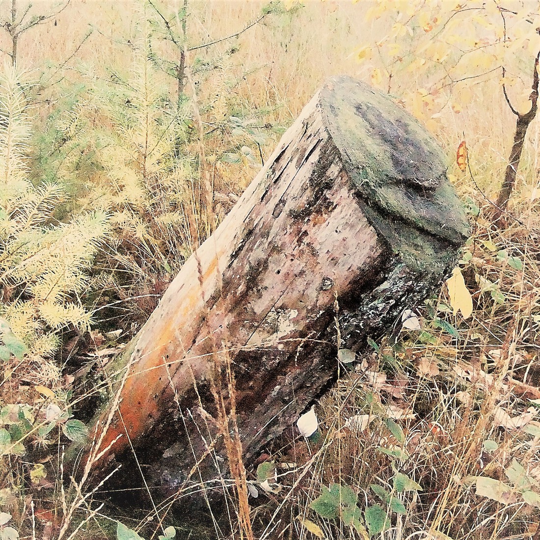 Photodrawings Squares 7