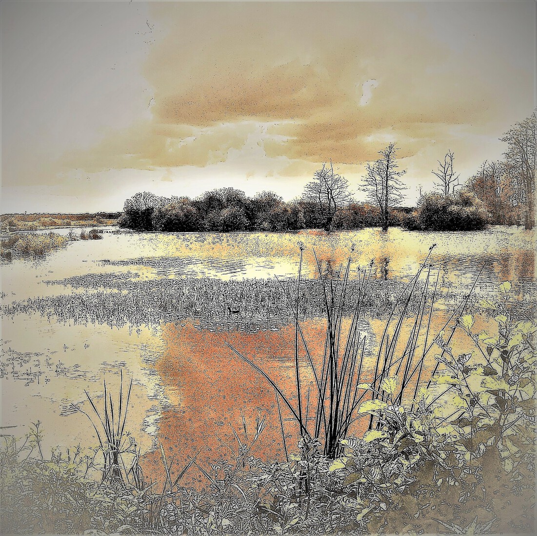 Photodrawings Squares 25