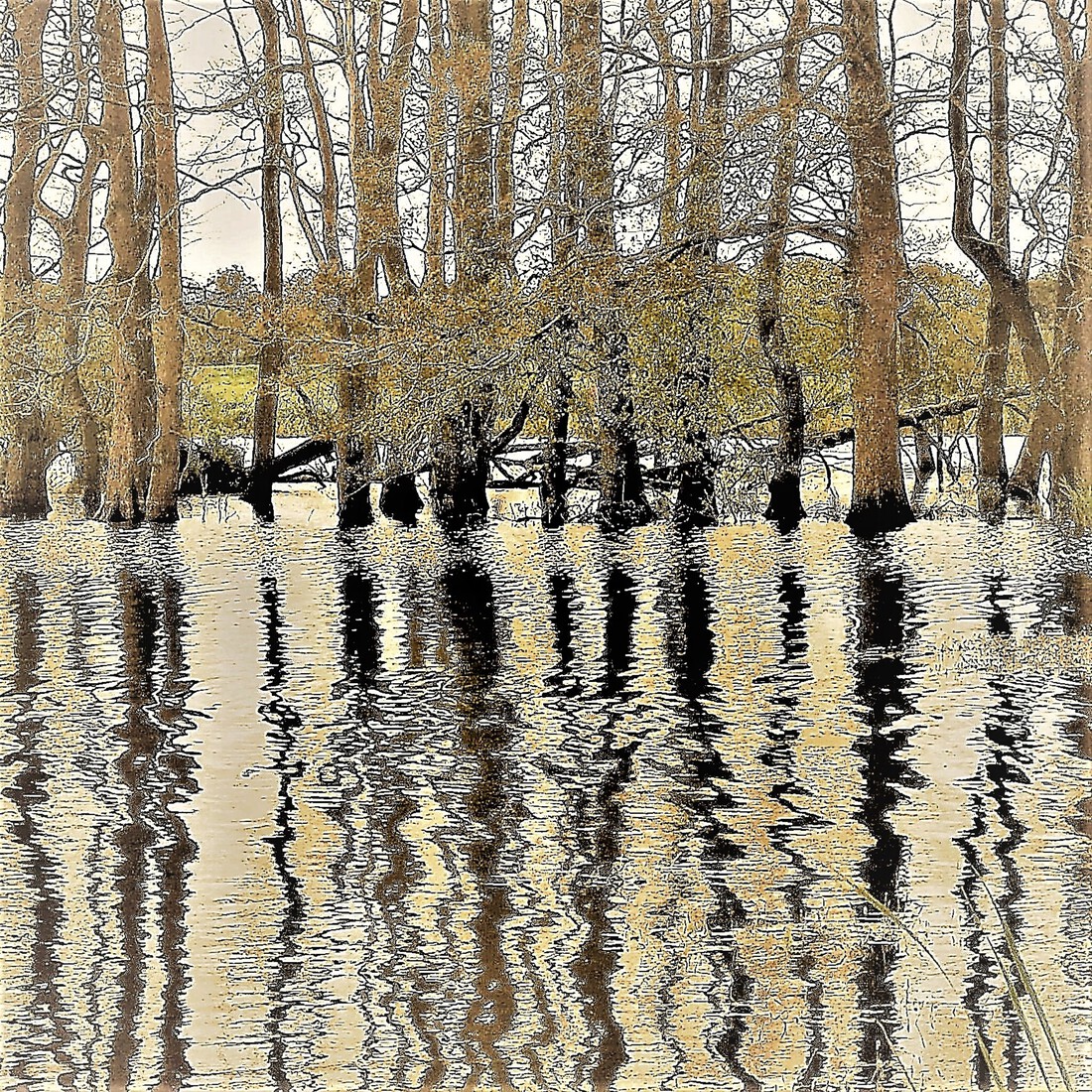 Photodrawings Squares 26