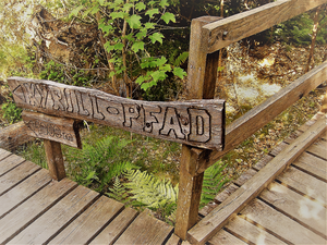 Begin 2007 hield de orkaan Kyrill verwoestend huis in het Sauerland vlakbij het dorpje Schanze en een spoor van vernieling achter. Een deel van de niet geruimde verwoesting is gelaten zoals het was om zo de gevolgen ervan zichtbaar te laten. Zo hebben rangers van de Rothaarsteig eigenhandig het Kyrill-pad aangelegd. Alle foto's in deze serie zijn op dit pad genomen.