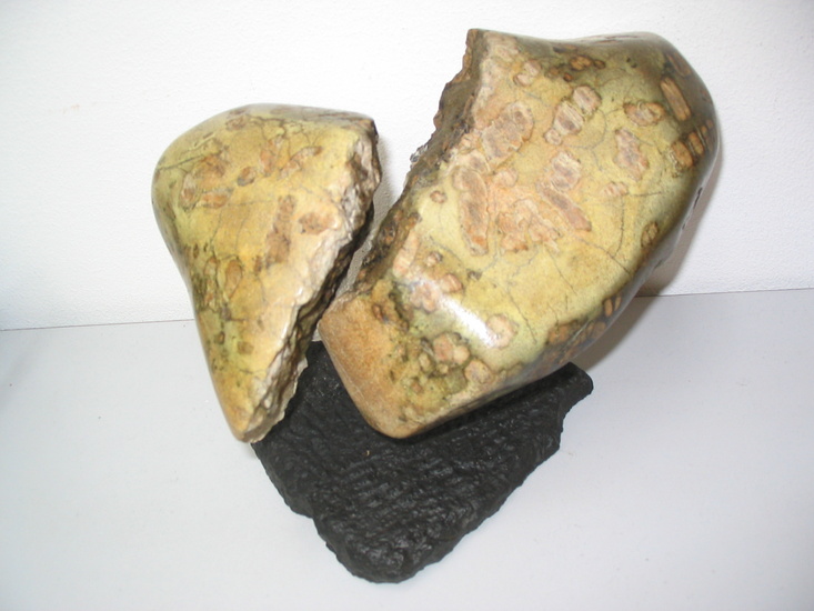 Nature's broken heart v