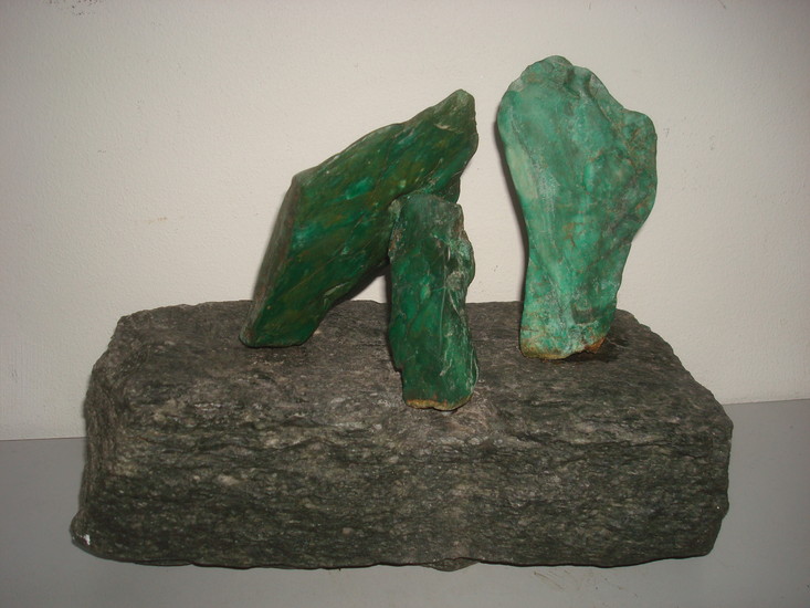 Beschermd of bedreigd v