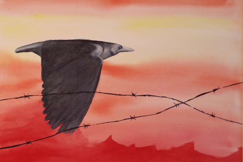 Commemoration world war I