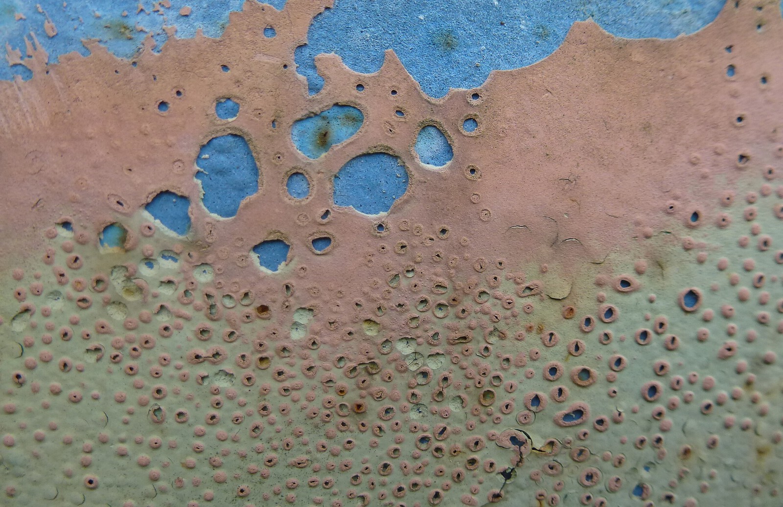 Weg naar de vrijheid