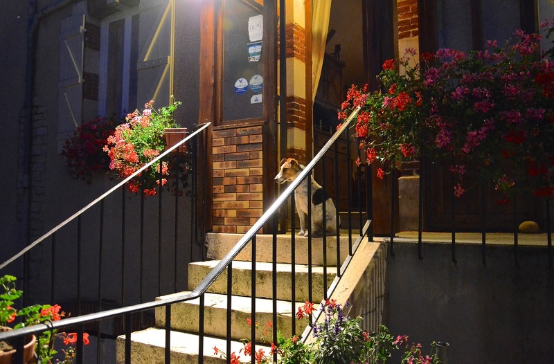 Au Petit Câlin, Pacy-sur-Armançon