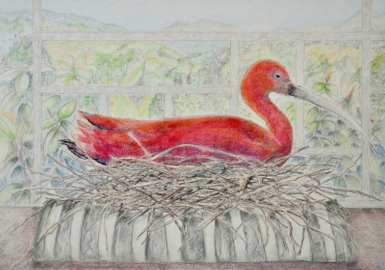 Asa Wright Nature Centre