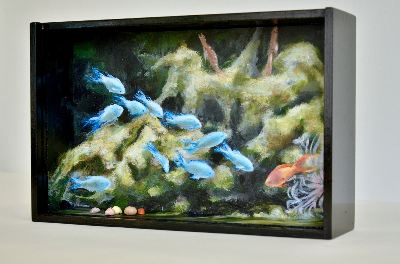 Aquarium met Koraalvissen