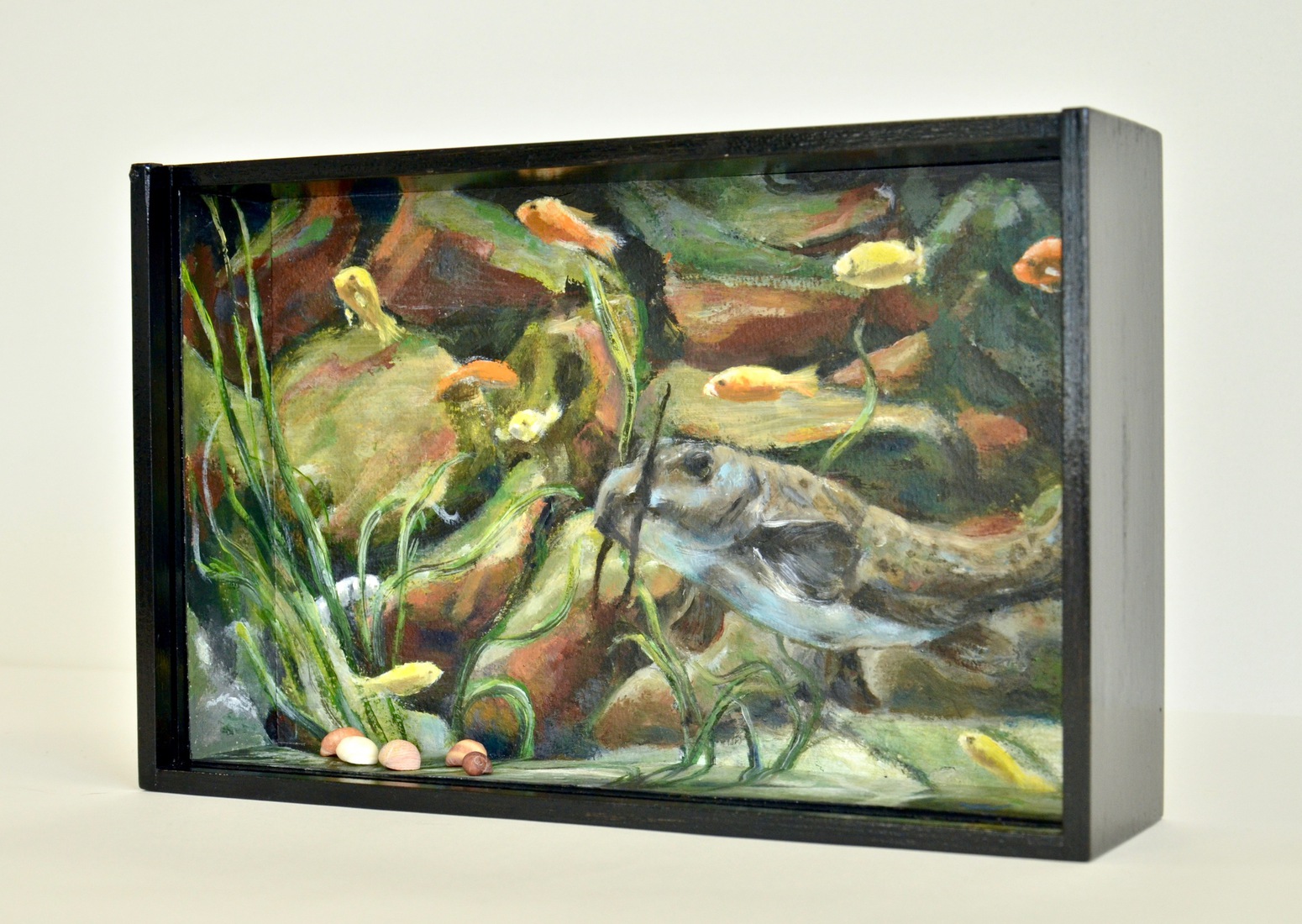 Aquarium met Giraffe Meerval