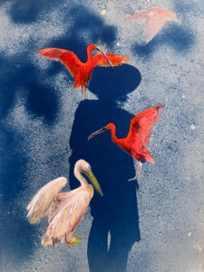 Blauwdruk is het prille begin van de fotografie. Van de 19e eeuwse kunstenaar Rosa Bonheur zag ik in Musee d'Orsay fantastische blauwdrukken van paarden. Net als in haar werk zijn 'dieren' mijn favoriete thema. Met mijn cyanotypes treed ik in haar voetsporen. 