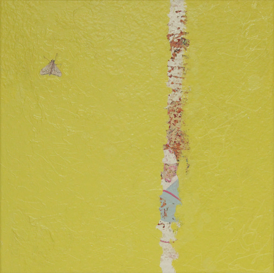 De wereld van de vlinder II