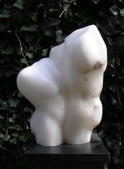dubbele torso