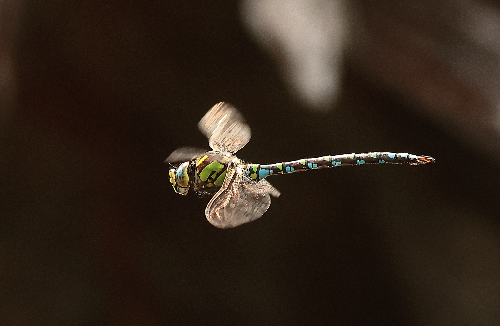 Macro