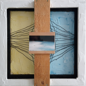 Verschillende disciplines