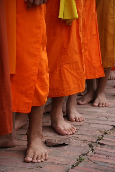 Monks Feet