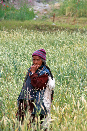 Woman in the field