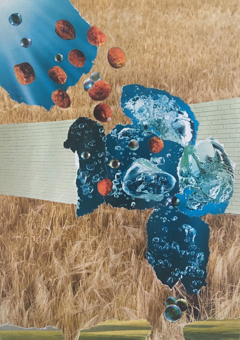 Als een vis in het water