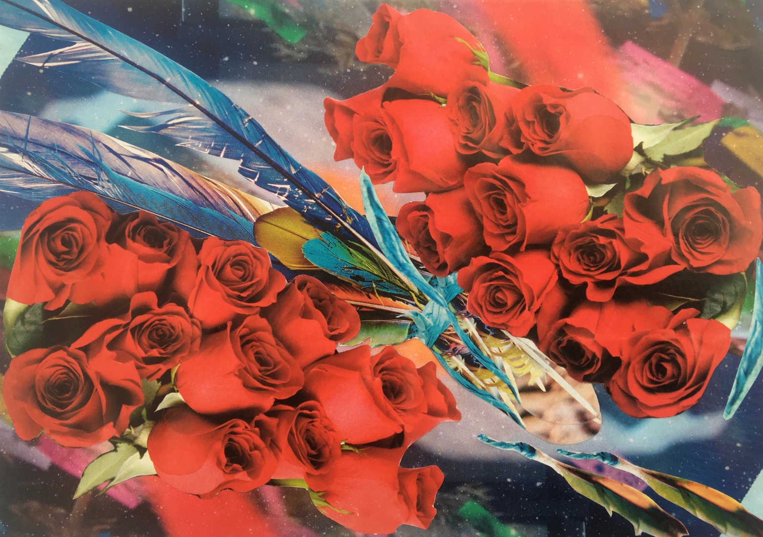 De rozen zullen bloeien