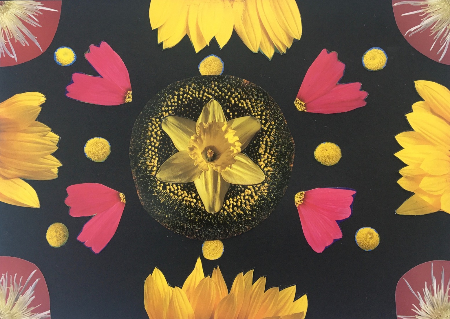 Zeg het met bloemen 6