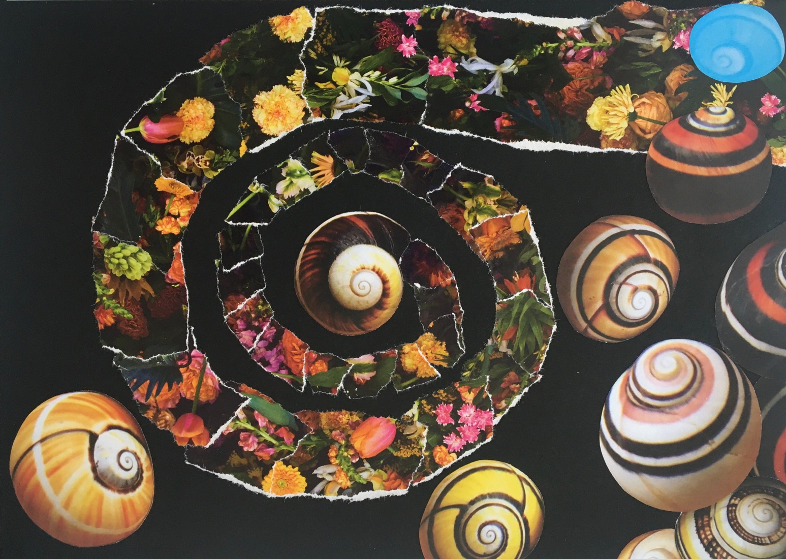 Zeg het met bloemen 7