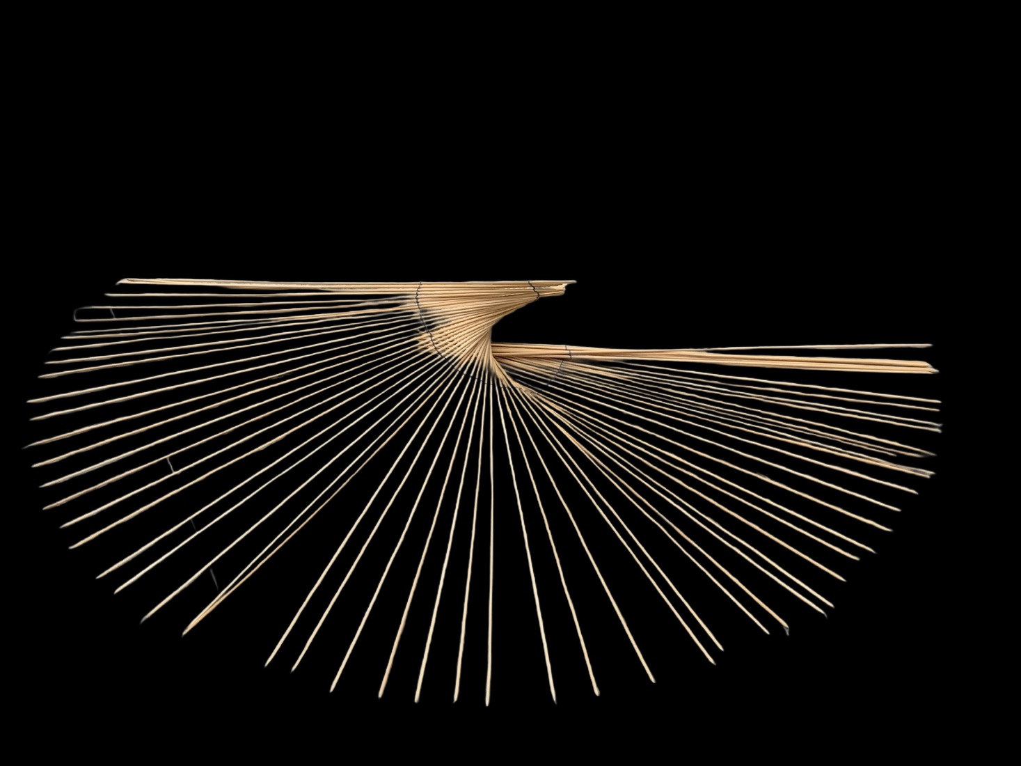 uit de serie’IN BEWEGING’